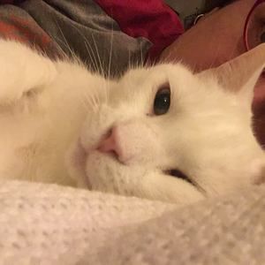 Meet your Posher, Alison